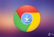 Google Chrome Portable for Windows logo