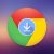 Google Chrome Portable for Windows logo