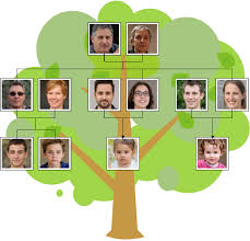 Family Tree Legends for Windows logo